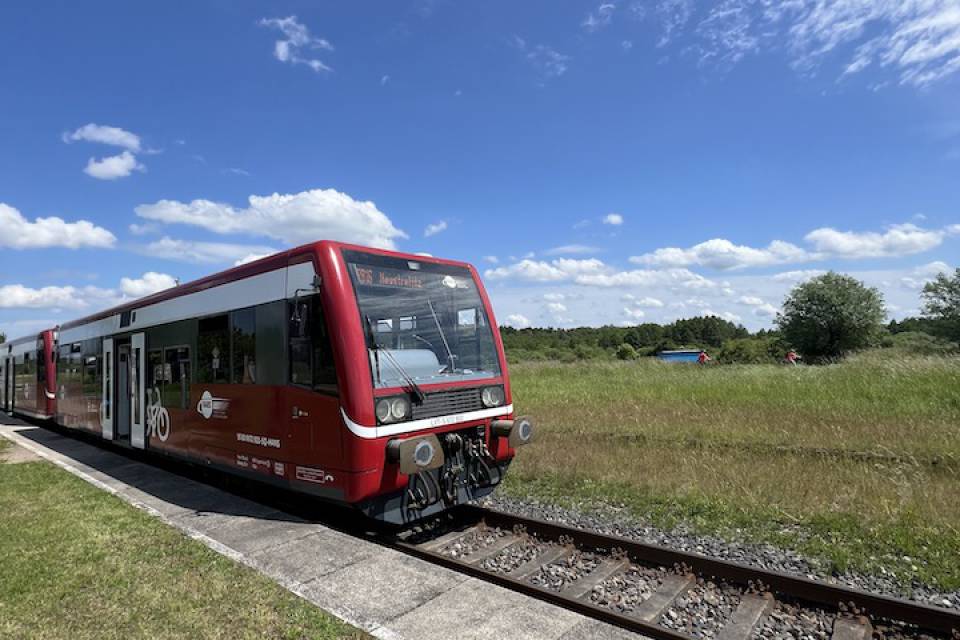 Zug fährt bei Tag